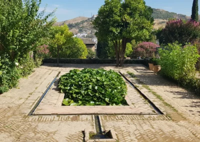 Horticulture et Jardins réhabilite le parc du Château de Fayères à Cannes (06029)
