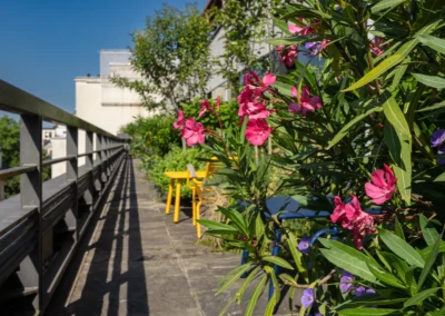 Horticulture et Jardins optimise un espace extérieur réduit en milieu urbain dense