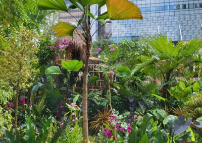 Retour aux Sources, le jardin d’Horticulture et Jardins médaillé d’argent au Singapore Garden Festival 2022