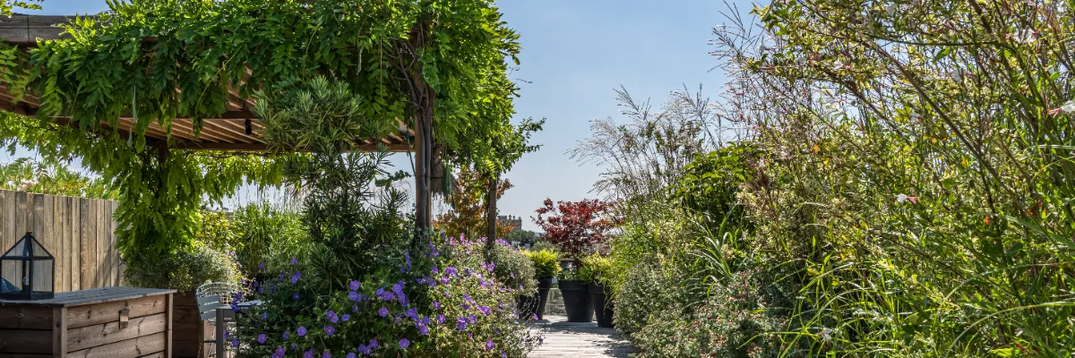 H&J_TERRASSE_BOIS_PARIS