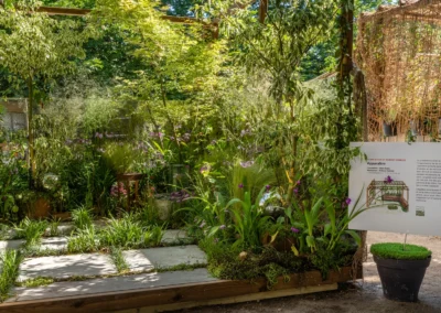 Le jardin “Apparaître” de Clara Bodin est récompensé au salon Jardins, Jardin 2023